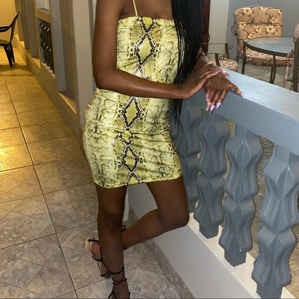 SNAKE PRINT DRESS